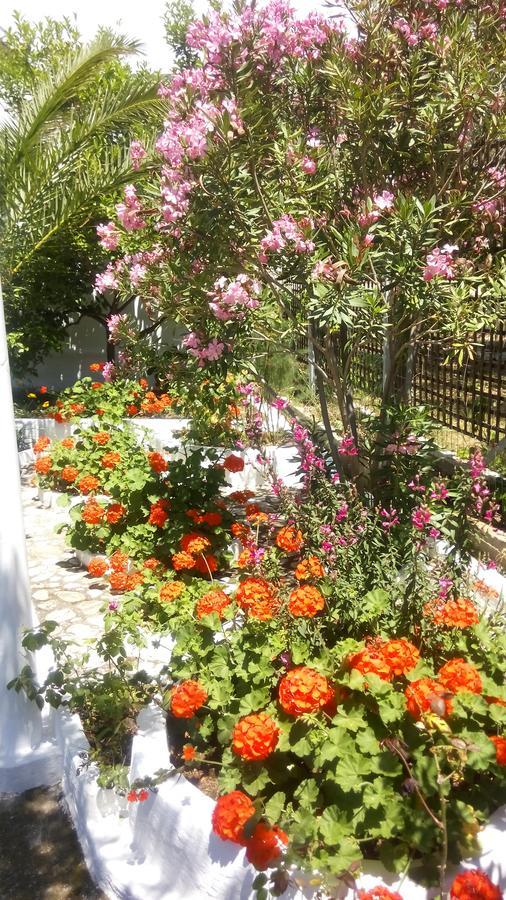Gorgona Rooms Alikí 외부 사진